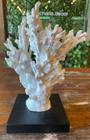 Coral decorativo resina