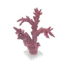 Coral Decorativo Resina Rosa Belissimo