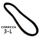 Correia 3 L 310 - Em V -10199 * 10199 - DIV.