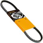 Correia Alternador V Gol G1 Saveiro Voyage 1.6 CHT 90 a 94