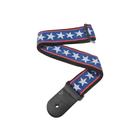 Correia Daddario para Guitarra 50A10-PD Stars and Stripes