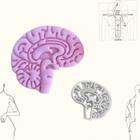Cortador Anatomia Humana - Cérebro 5,5cm - Cia do Molde