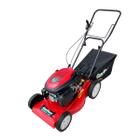 Cortador De Grama A Gasolina 6hp 4T Garthen Com Recolhedor