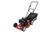 Cortador de Grama Gasolina Com Recolhedor 3.5HP Garthen PRO-3500C