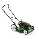 Cortador de Grama Motor a Gasolina LF-600RM 6,5HP 4T - Trapp