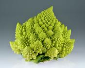 Couve Flor Romanesco Kéfera - 600mg de Sementes - Feltrin