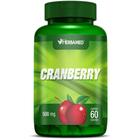 Cranberry 500 mg c/ 60 capsulas - Herbamed