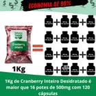 Cranberry inteiro 1kg combate a infecção urinária