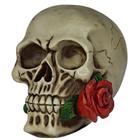 Crânio Caveira Com Rosa Vermelha Na Boca Grande Decorativa