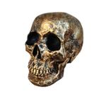 Cranio Grande Tamanho Real de Resina Dourado Premium