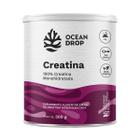 Creatina 100% Monohidratada 300g Em Pó 100 Doses Ocean Drop