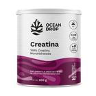 Creatina em po 100 doses 300g - ocean drop