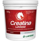 Creatina Lavizoo - 500 Gr - Creatina Para Equinos E Potros