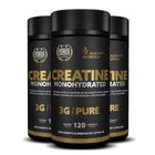 Creatina Monohidratada 3g 3x120 Cápsulas Alisson Nutrition