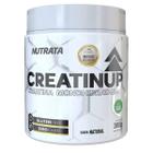 Creatina Monohidratada Creatinup - Nutrata 300g