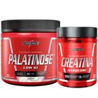 Creatina Pura 60 Caps + Palatinose Pura 300g Integralmedica