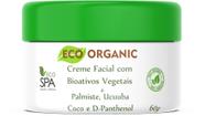 Creme Hidratante Facial pós máscara de argila, orgânico 60g - Eco Spa