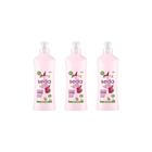 Creme Para Pentear Seda 300Ml Fruta Verm+Gengibre-Kit C/3Un