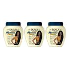 Creme Skala 1Kg Maionese Capilar-Kit C/3Un