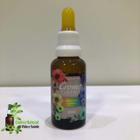 Cromofloral energia dos 7 chakras 30ml 