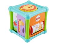 Cubo de Atividades Fisher-Price - Animaizinhos Divertidos Mattel