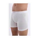 Cueca Boxer Micromodal sem Costura Lupo 661-001