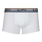 Cueca Sunga Algodão com Elastano Lupo 427-004