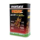 Cupinicida Montana Pentox Super 5L