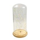 Cúpula de Vidro com Madeira e LED - Decoração Elegante