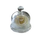 Cupula de Vidro Decorativa Aromatizadora 9cm - Puri Decorações