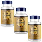 CÚRCUMA EM CÁPSULAS (AÇAFRÃO DA TERRA) - AÇAFRÃO DA ÍNDIA - GOLDENPURE - 60 CÁPSULAS - 645mg Kit 3x