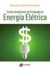 Custos Ambientais Da Producao De Energia Eletrica - SYNERGIA
