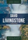 David Livingstone: o Pioneiro da África - Shedd Publicações