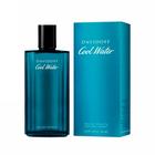 Davidoff Cool Water Edt 125ml Perfume Masculino
