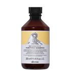 Davines Naturaltech Purifying Shampoo 250ml