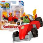 DC Liga Super Pets - Carrinho Veículo Tartaruga Mirtes - Fisher Price HGL24