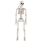 Decoração Halloween Esqueleto Articulado 40cm