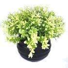 decoração planta artificial decorativas vaso vasinho flor A