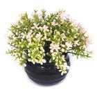 decoração plantas artificiais decorativas vaso vasinho falsa flor