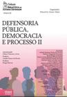 Defensoria pública, democracia e processo - 2021 - vol. 2