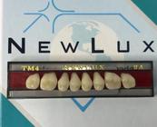 Dente Acrílico Três Camadas Posterior Superior Tm4 Newlux - UDB ODONTO