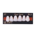 Dente Anterior Superior Pop-Dent Polímero Sintético Vipi