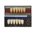 Dente Dent Clean Anterior 264 Inferior - Imodonto