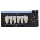 Dente Dent Clean Anterior 2P Inferior - Imodonto