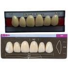 Dente Dent Clean Anterior 4H Superior - Imodonto