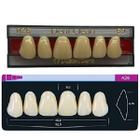 Dente Dent Clean Anterior A26 Superior - Imodonto