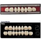 Dente New Form Posterior PM3 Superior - Imodonto