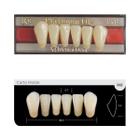 Dente Platinum Tri 03 Camadas Anterior IK9 Inferior - Imodonto