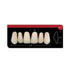 Dente Platinum Tri 03 Camadas Anterior SF3 Superior-Imodonto