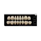 Dente Platinum Tri 03 Camadas Posterior PM5 Superior - Imodonto